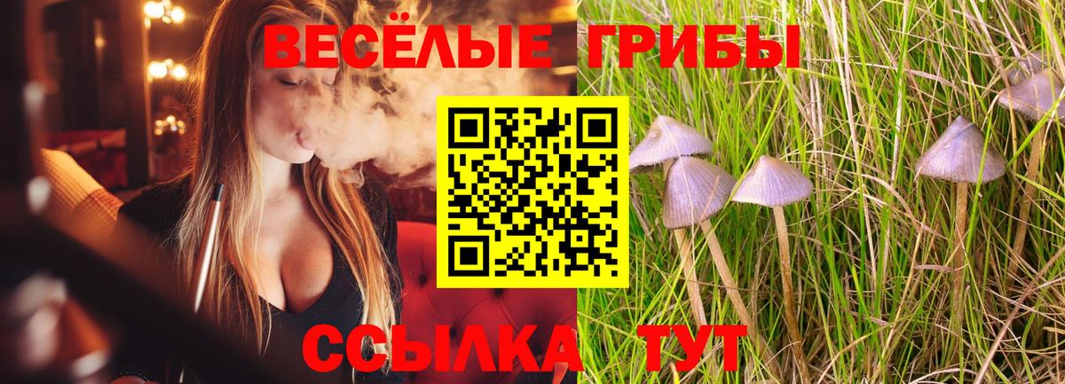 Псилоцибиновые грибы ЛСД Вязники
