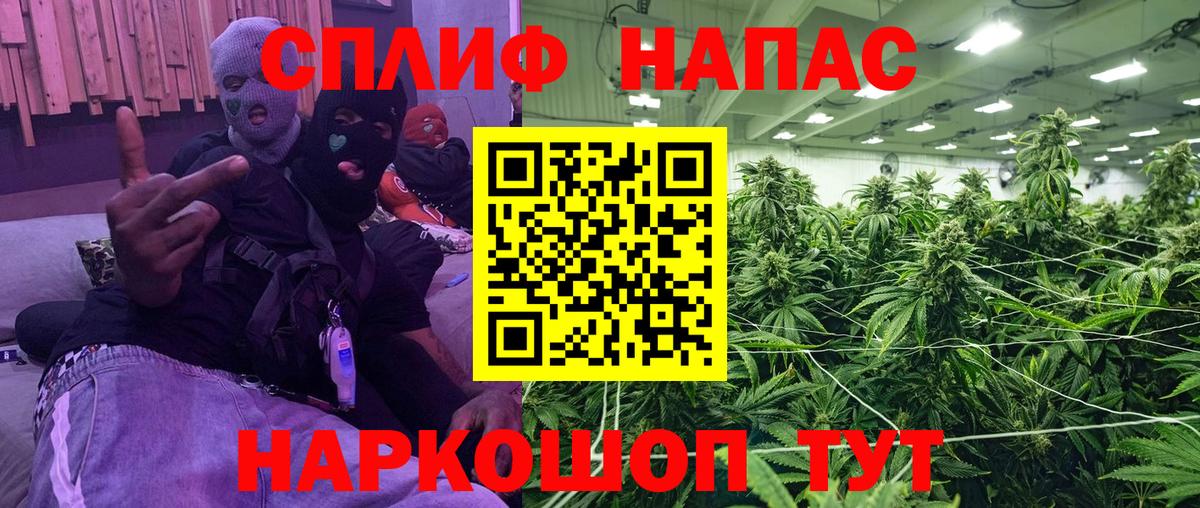 Шишки марихуана гибрид  Вход с VPN  Шишки марихуана Ganja  Шишки марихуана марихуана  Бошки Шишки Bruce Banner  Вязники 